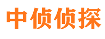 汤阴调查事务所